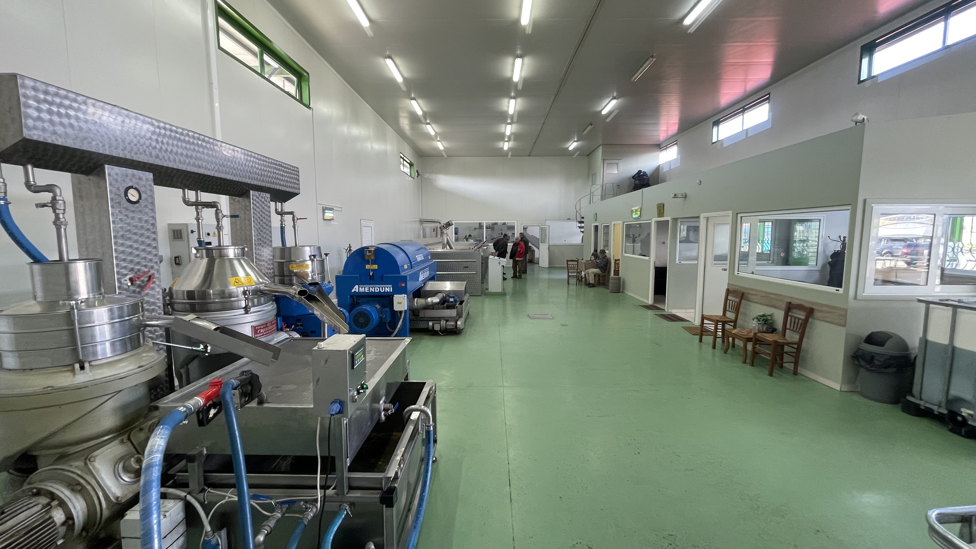 Olive processing room and machinery